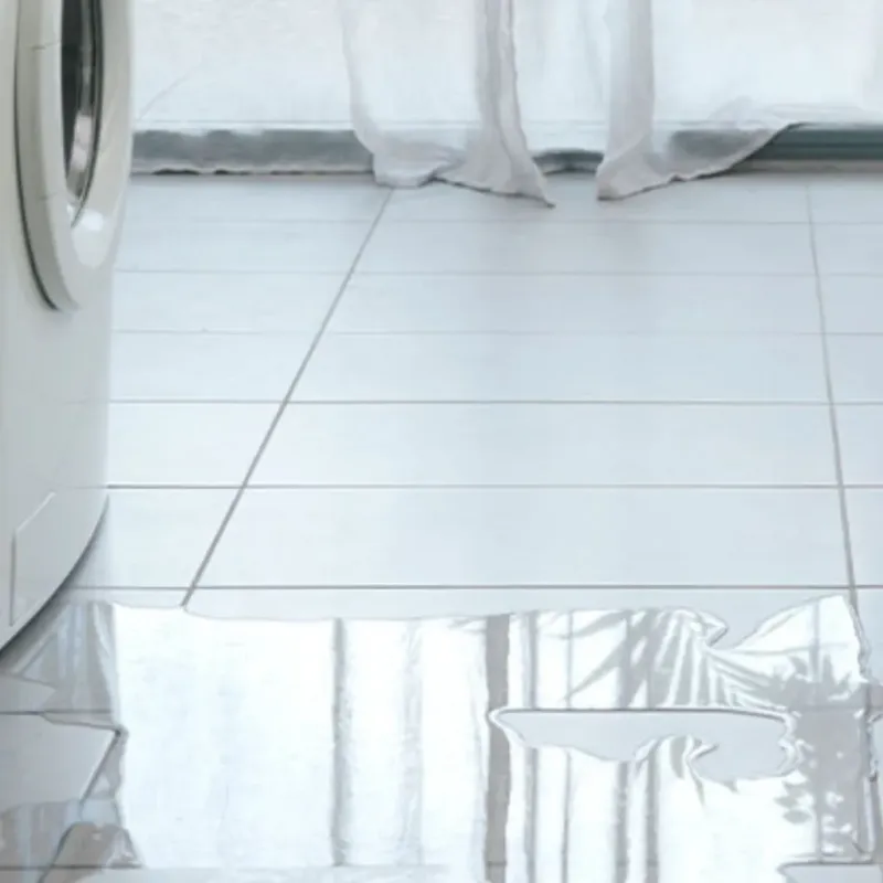 Appliance Leak Cleanup in Round Lake Beach, IL
