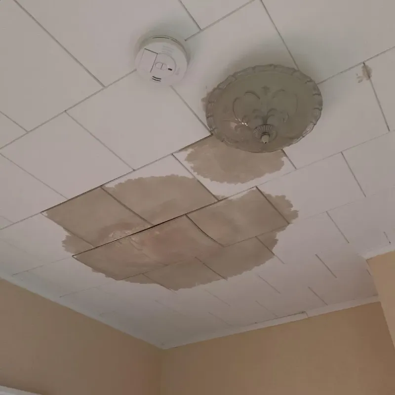 Ceiling Water Damage Repair in Round Lake Beach, IL