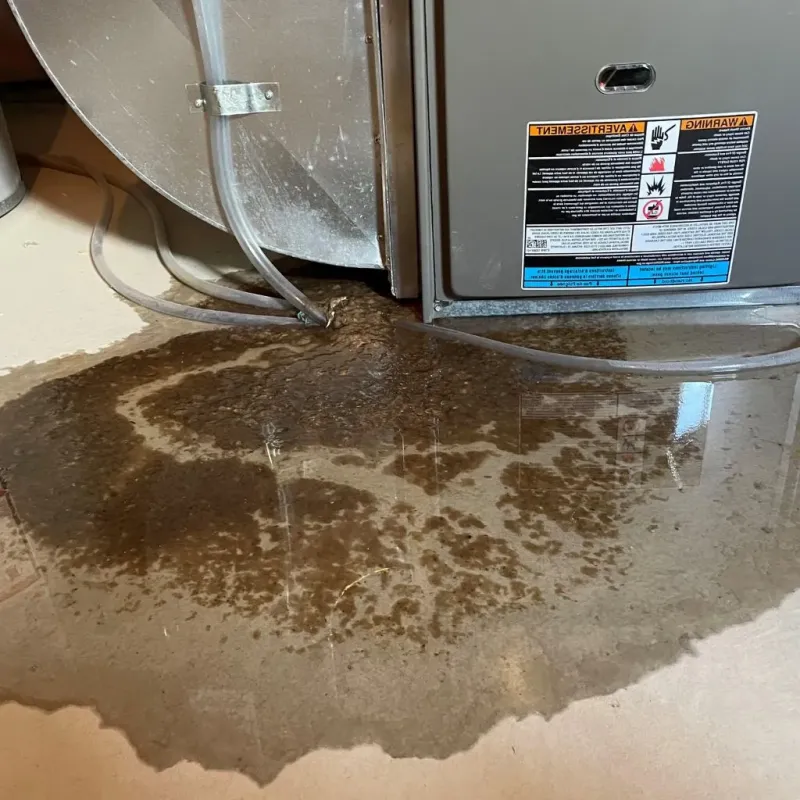 Pipe Burst and Leak Restoration in Round Lake Beach, IL