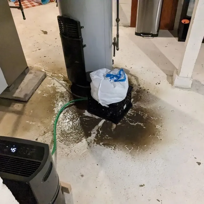 Sewage Backup Cleanup Service in Round Lake Beach, IL